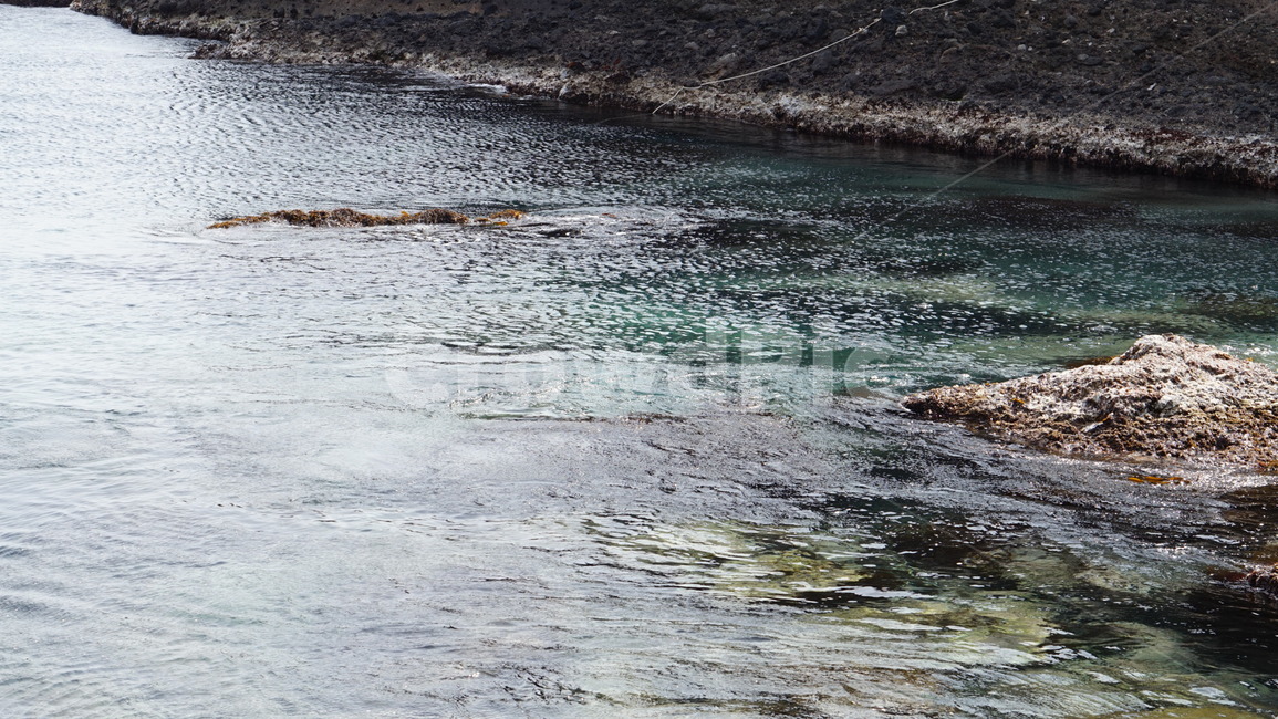 울릉도,독도,water,물,nature,자연,outdoors,옥외,바다,감성