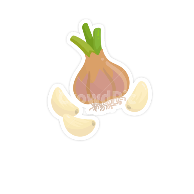 plant,식물,food,음식,vegetable,야채,채소,마늘,그래픽,일러스트레이션,graphic,illustration