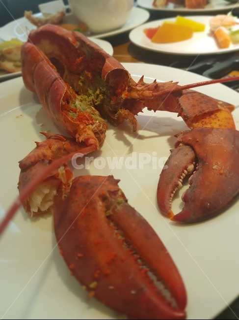 랍스터,lobster,음식,요리,food,meal,seafood,dish,수산물,해산물,fishery products,seafood