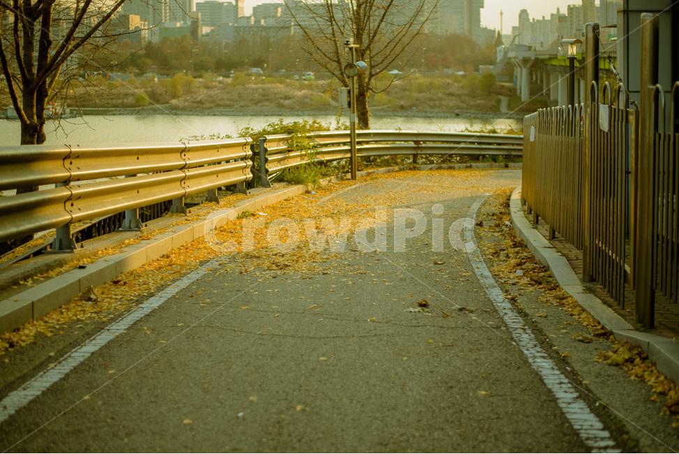 은행잎,도로,해질녘,한강,선유도가는길,도시,풍경,city,landscape,고독함,외로움,쓸쓸함,우울함,슬픔,lonely,solitary,banister,난간,handrail