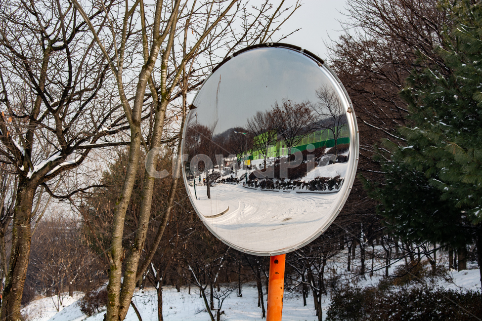 투영,반사경,미러,백설,겨울풍경,겨울,계절,winter,season