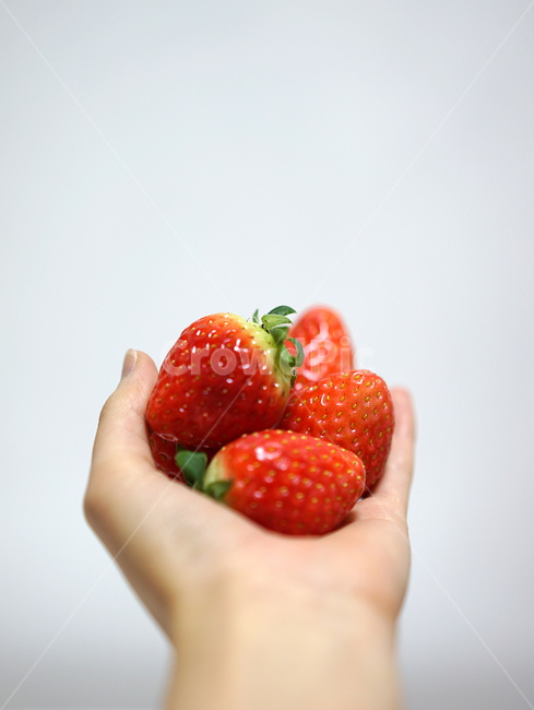 딸기,strawberry,과일,음식,겨울철과일,빨강,레드,red,베리,신선,스트로베리,사람,인물,인간,human,person,신체일부,몸,body,음식,식재료,요리,food,cook,meal,dishes,food reserves,과일,열매,fruit