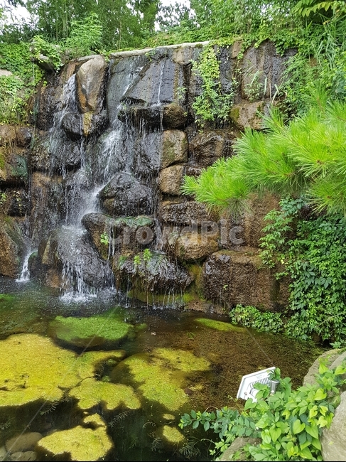 덕진공원,전주덕진공원,공원,이끼,폭포,자연,풍경,nature,landscape,water,물,outdoors,옥외,river,강,waterfall