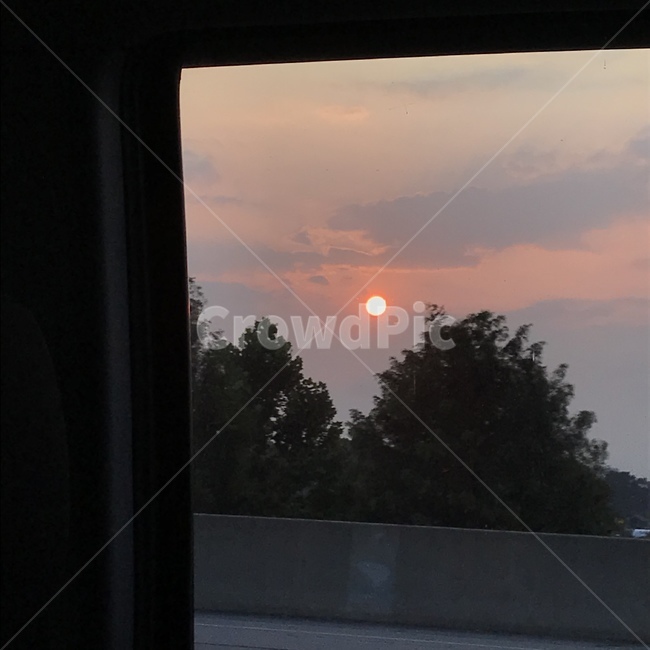 아침,morning,sun,sunlight,햇빛,car,차안