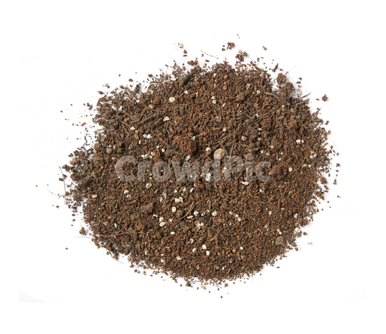 흙,모래,soil,sand,soiltexture,덩어리,탑앵글,흰배경,누끼,가루,흙가루,모래가루,갈색,브라운,텍스춰,건조한,black,botany,brown,closeup,compost,dark,dirt,dirty,dry,dust,grain,heap,humus,ingredient,macro,mineral,nobody,object,organic,path,powder,splash,spray,texture,topview,toxic,뿌린,누끼,remove background