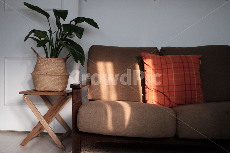 실내인테리어,소품,쇼파,furniture,가구,pillow,쿠션,식물,거실,livingroom,방,room