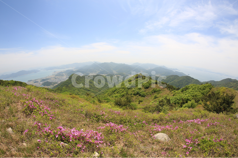 남해,남해바다,철쭉,철쭉군락지,망운산,하늘,바다,봄,5월,봄,계절,spring,season,자연,풍경,nature,landscape,한국자연풍경,한국자연경관,korea nature landscape,outdoors,옥외,hill,언덕