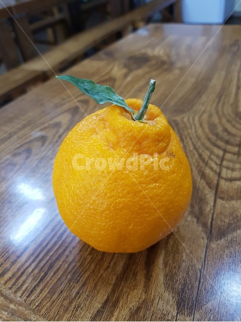과일,귤,한라봉,겨울,제주도,겨울과일,tangerine,fruit,상큼,fresh,음식,식재료,요리,food,cook,meal,dishes,food reserves,과일,열매,fruit