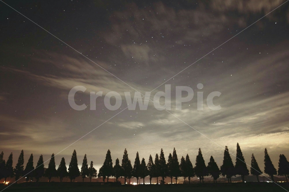 별,밤하늘,가로수,별빛,하늘,자연,풍경,nature,landscape,야경,밤,nightscape,night,실루엣,그림자,silhouette,shadow,감성,sensible,feeling,tree,나무,plant,식물,outdoors,옥외