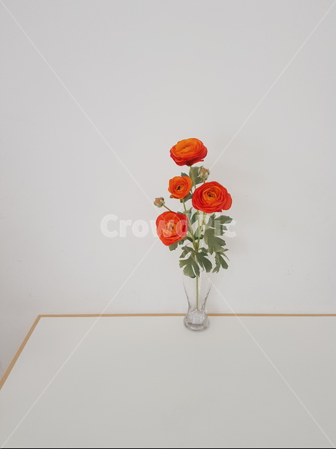 꽃,까페,백지,감성,flower