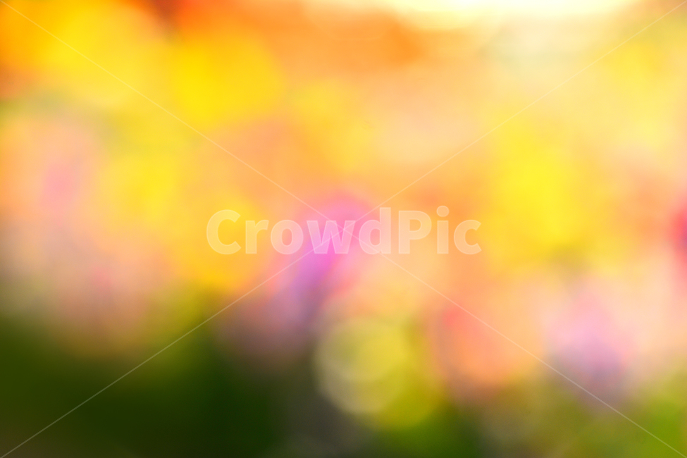 봄,색감,감성,분위기,느낌,벡그라운드,emotion,feeling,sensible,칼라풀,색상,화려한,colorful,season,시즌,계절,몽환적,그라데이션,gradation,art,번짐,혼색,다양한,노랑,빨강,핑크,분홍,그린,녹색,봄배경,background,바탕,배경