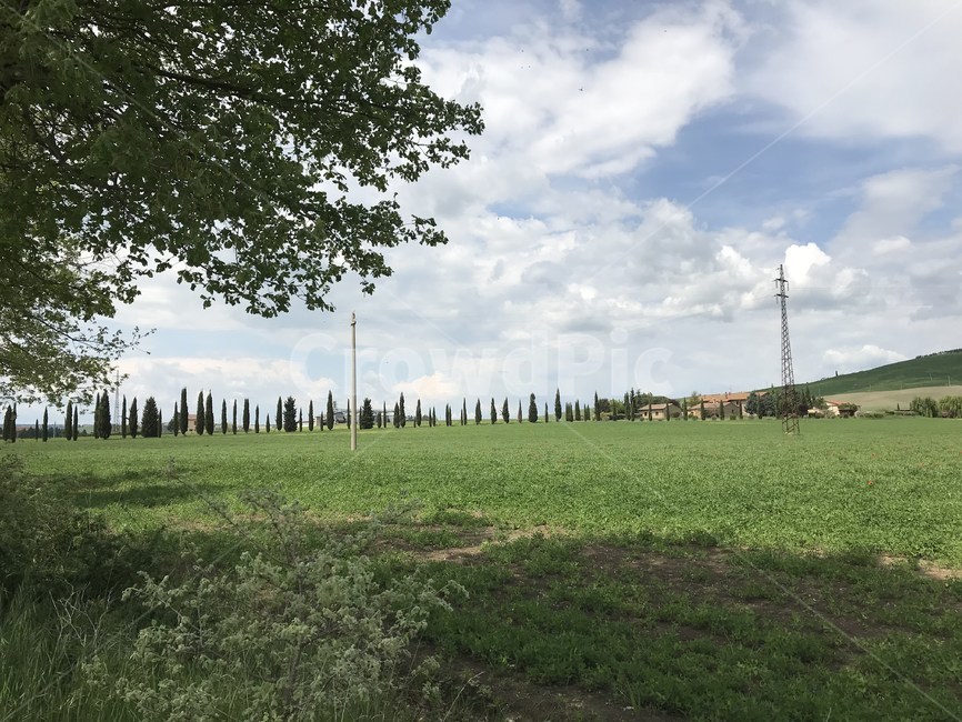 토스카나,toscana,투스카니,풀,이탈리아,이태리,italia,italy,자연,풍경,해외,nature,발도르차,초록,나무,tuscany,소도시,구름,하늘