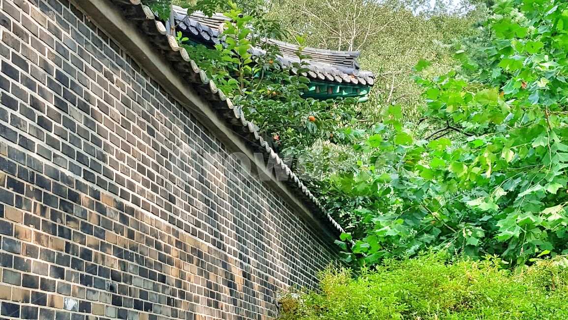 한옥,기와,담,지붕,전통,건축,건물,한국전통,한옥마을,기와집,봄,koreanculture,나무,초록,벽돌,담벼락,울타리,건축물,한국문화,traditional,exterior,building,construction