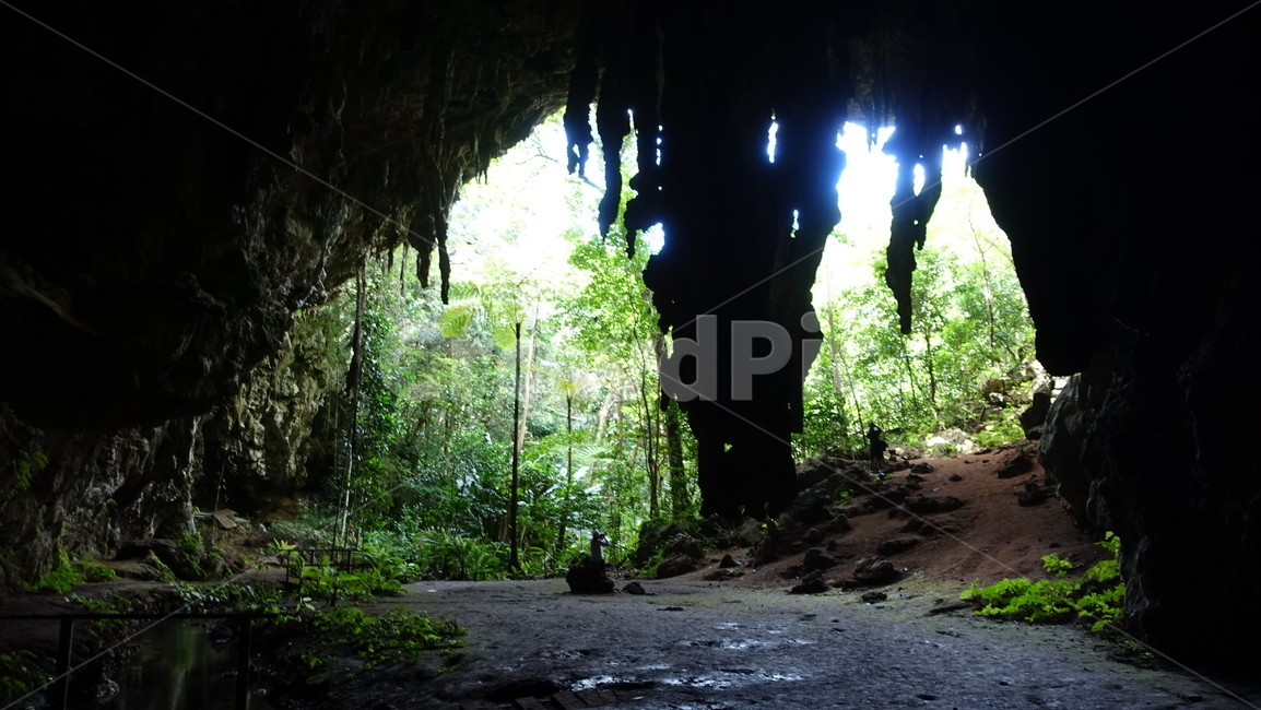 자연,nature,cave,grotto,동굴,초록,green,오르텐스,오르텐스동굴,뉴칼레도니아