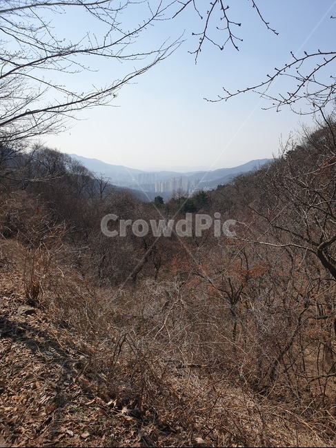 자연,전망,산,nature,나무