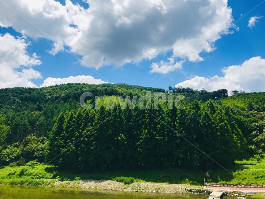 숲,산,하늘,힐링,자연