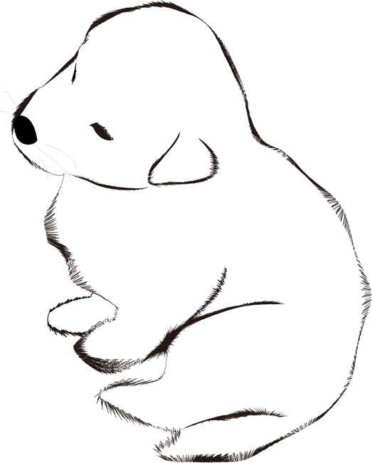 백구,진돗개,새끼강아지,토종개,한국개,하얀강아지,귀여운,잠자는,멍멍이,강아지,개,강아지,dog,doggy,그래픽,일러스트레이션,graphic,illustration