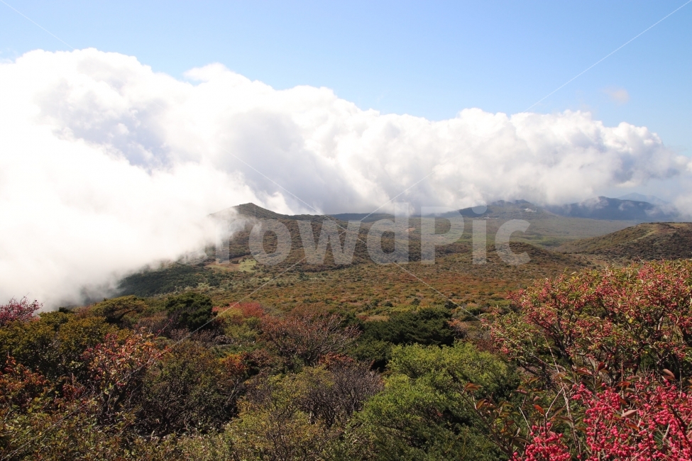 한라산,정상,가을산,구름,제주도,가을,계절,fall,autumn,season,자연,풍경,nature,landscape,한국자연풍경,한국자연경관,korea nature landscape,제주도,jeju,jeju island,outdoors,옥외,plateau,고원,hill,언덕