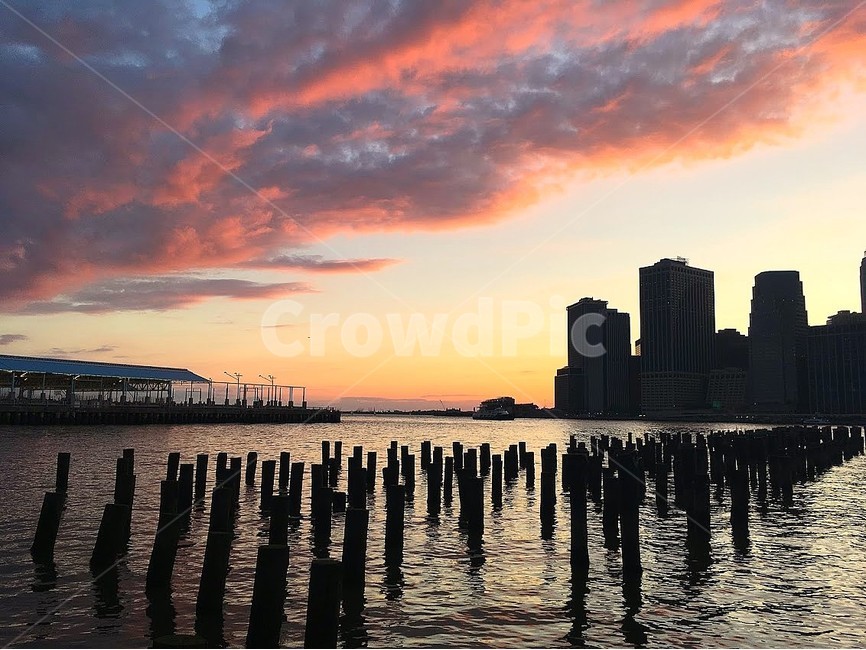 브루클린,강,공원,노을,해질녘,뉴욕,brooklynpark,나무,자연,sunset,핑크하늘,다리,도시,풍경,city,landscape,해외,외국,세계,foreign,oversea,world,세계도시풍경,해외도시풍경,외국도시풍경,world cityscape,water,물,waterfront,워터 프론트