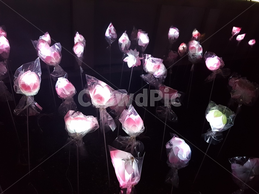 연등,꽃,조화,led등,아름다움,야경,인테리어,야경,밤,풍경,nightscape,night,landscape
