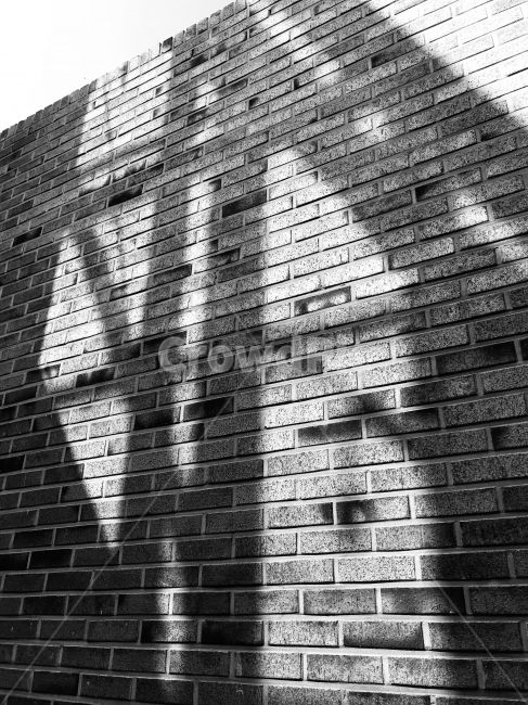 흑백,그림자,햇빛,오후,벽,벽돌,흑백,모노톤,monochrome,black and white,건축물,건물외관,exterior,building,structure,architecture,construction