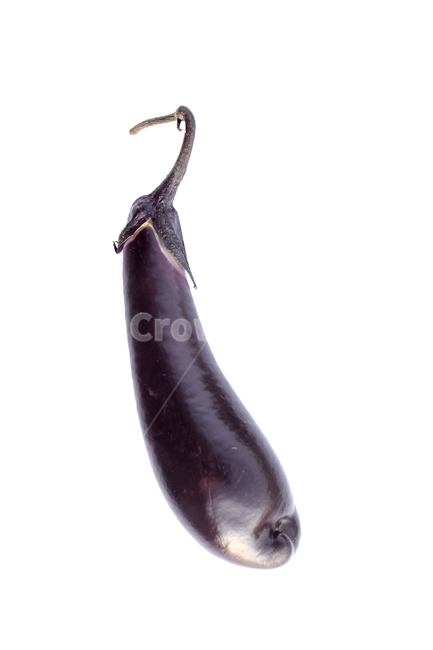 가지,야채,채소,보라색,보라,퍼플,식재료,음식,식물,열매,흰배경,food,vegetables,eggplant,aubergine,violet,purple,음식,식재료,요리,food,cook,meal,dishes,food reserves,채소,야채,vegetables