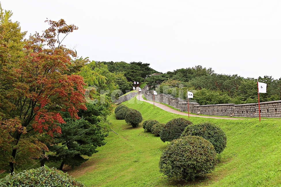 수원화성,성,성곽,길,둘레길,돌담,담,가을,자연,풍경,벽,방어벽,전통,흙담,식물,나무,산성,한국전통,한국문화,korean traditional,korean culture
