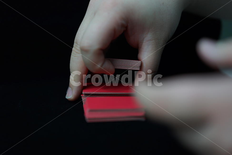화투,화투패,고스톱,한국전통,도박,게임,놀이,손가락,손동작,노름,하나후다,사람,인물,인간,human,person,신체일부,몸,body,게임,오락,놀이,game,play