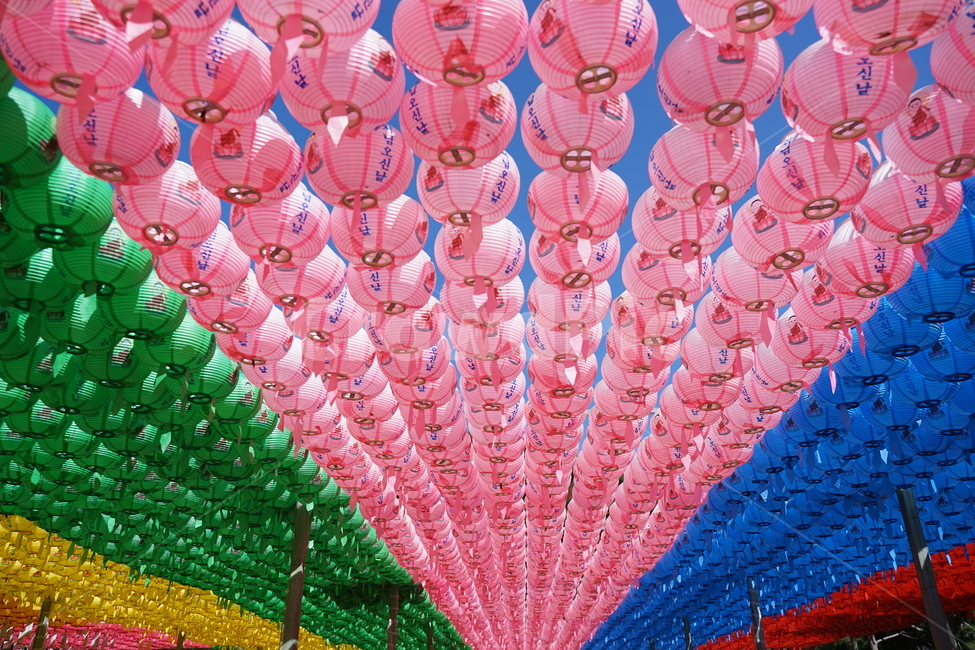 풍경,연등,패턴,불교,색,축제,연꽃,종교,신앙,religion,belief,faith,축제,행사,festival,carnival,event
