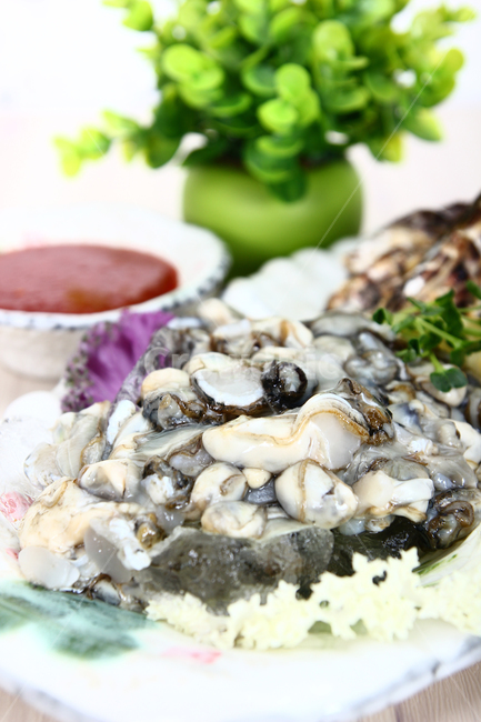 석화,굴,생굴,해산물,조개,신선,싱싱,음식,식품,dish,oysters,seafood,shellfish,fresh,crispy,food,음식,식재료,요리,food,cook,meal,dishes,food reserves,수산물,해산물,fishery products,seafood