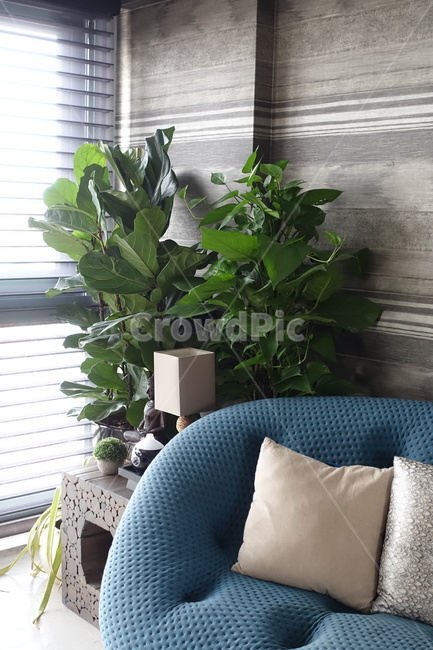 거실,livingroom,cushion,couch,furniture,가구,방석,침상,홈,집,home,house,houseinterior,인테리어,홈인테리어,인테리어,실내디자인,interior design