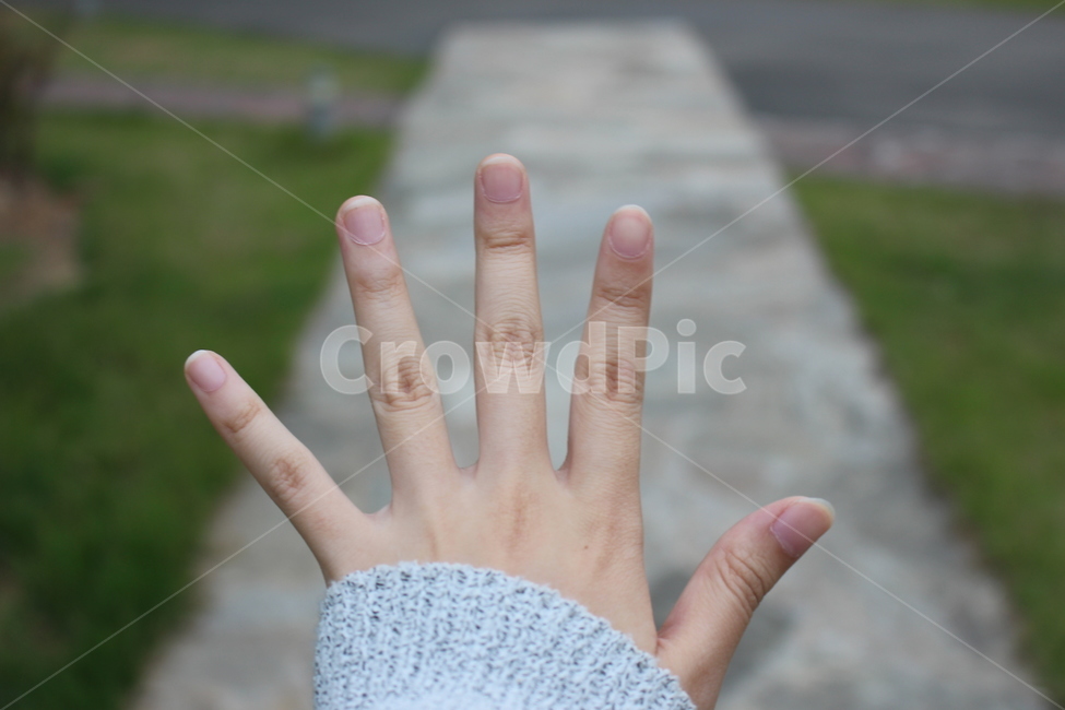 손,왼손,길,손등,길위,사람,인물,인간,human,person,신체일부,몸,body