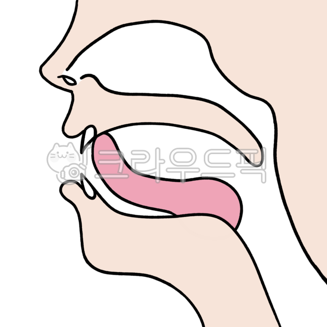 한국어,korea,lip,mouth,pronunciation,발음,입,입술,한글,자음,모음,hangeul,korean,alphabet,국어,발음연습,입모양,발음입모양,얼굴,발음모양,ㄴ,니은,니은입모양,ㄴ입모양,ㄴ발음,니은발음,ㄴ발음입모양,니은발음입모양,자음발음입모양,모음발음입모양,자모음입모양,자모음발음입모양,말하기,한글발음,한글발음입모양,한글입모양,자음입모양,모음입모양,한국어입모양,한국어발음