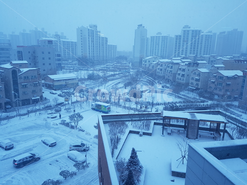 눈,청주시,성화동,함박눈,겨울,겨울,계절,winter,season,도시,풍경,city,landscape,경치,nature,자연,outdoors,옥외,scenery