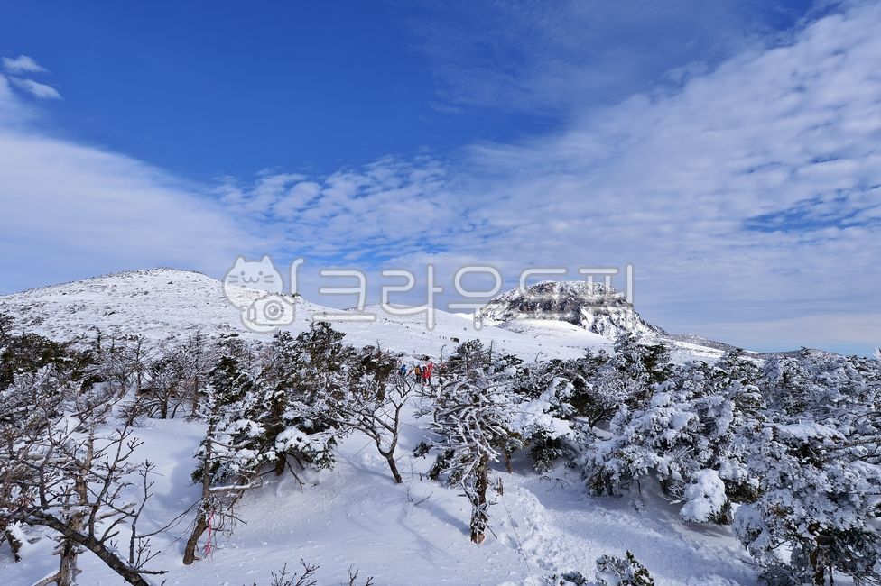 제주도,제주풍경,제주,윗세오름,겨울산행,눈내린산,한라산,정상,겨울풍경,눈꽃,설원,산,한라산의겨울,tree,나무,자연,outdoors,옥외,mountain,nature