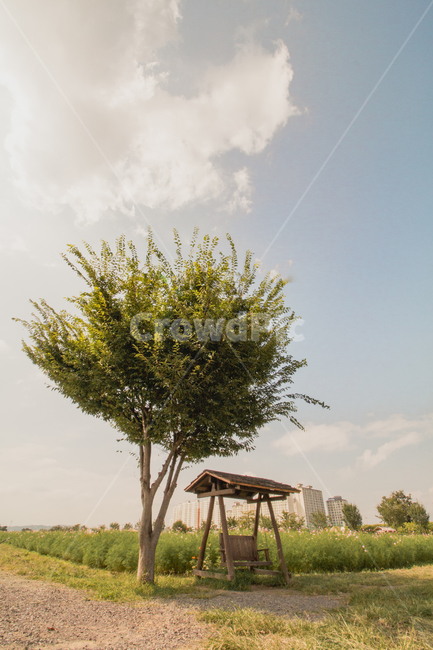 나무,의자,그네,자연,아름다움,tree,chair,nature,beautiful,cloud,sky,잔디,하늘,구름,푸르다,초록색,green,outdoors,옥외