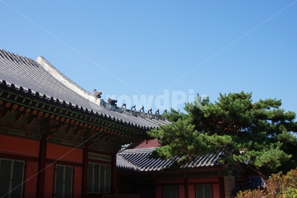 경복궁,하늘,초록색,한국,전통,한국전통,한국문화,korean traditional,korean culture,랜드마크,landmark,tourist attraction,한국랜드마크,한국관광지,한국명소,korea landmark,korea tourist attraction,건축물,건물외관,exterior,building,structure,architecture,construction