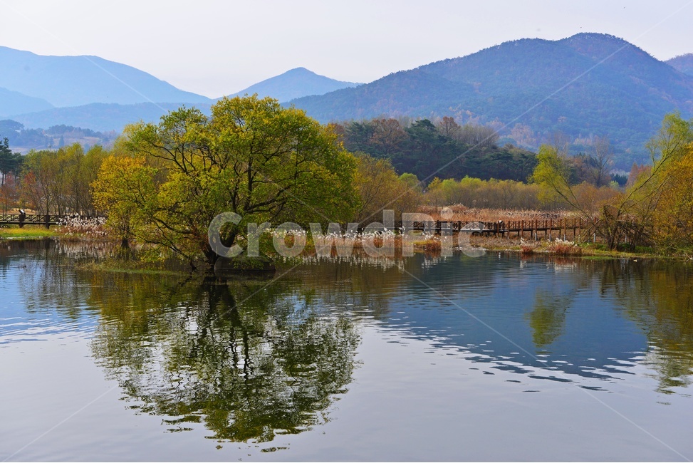 광주광역시,북구,광주호,상류,나무,초록색,봄,반영,nature,자연,water,물,outdoors,옥외,lake,호수,무등산,가을,계절,fall,autumn,season,자연,풍경,nature,landscape,한국자연풍경,한국자연경관,korea nature landscape