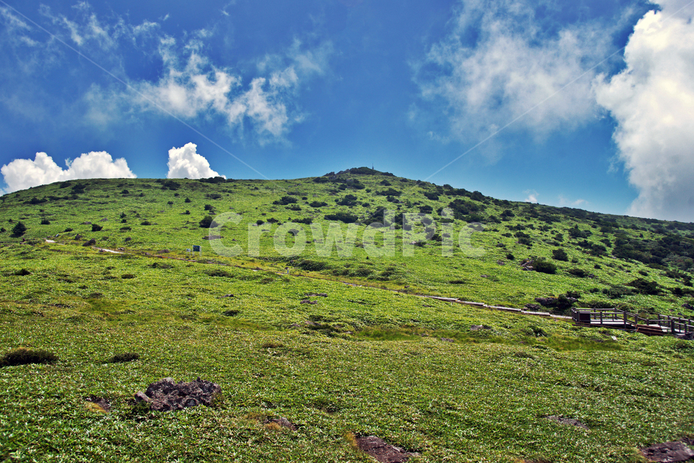 한라산,제주도,영산,어리목코스,만세동산,자연,구름,초목