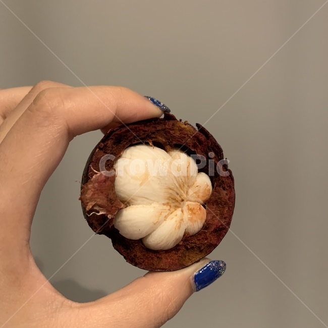 과일,망고스틴,태국망고스틴,태국과일,과일의여왕,mangosteen,과일,열매,fruit