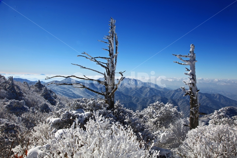 frost,서리,nature,자연,outdoors,옥외,ice,빙,mountain,산,mountainrange,산맥,glacier,빙하,snow,눈,scenery,상고대,무주,덕유산,덕유산설경,설경,설청봉,향적봉,중봉,경치,풍경,운해,겨울,계절,winter,season,자연,풍경,nature,landscape