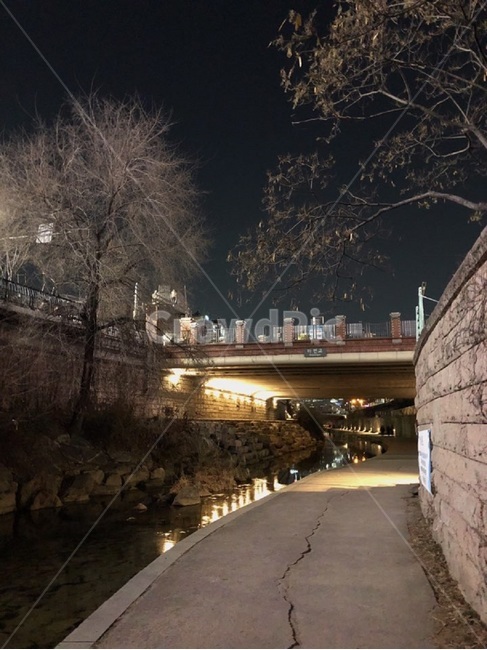 감성사진,분위기,산책,밤거리,밤산책,야경,밤,풍경,nightscape,night,landscape,도시,city,한국도시풍경,한국도시경관,korea cityscape,path,통로,walkway,보도