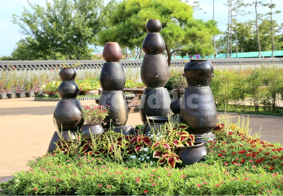 항아리,토기,물건,pot,things,전통적인,옛것,담,쌓기,마당,꽃,한국적인,간장,된장,고추장
