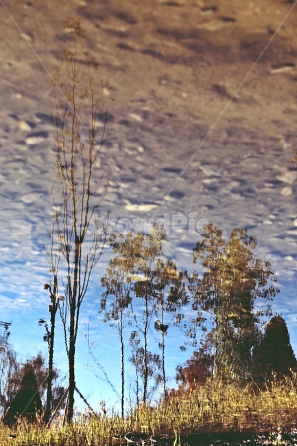 반영,나무,그림자,실루엣,tree,silhouette,reflection,자연,풍경,nature,landscape,land,땅,outdoors,옥외