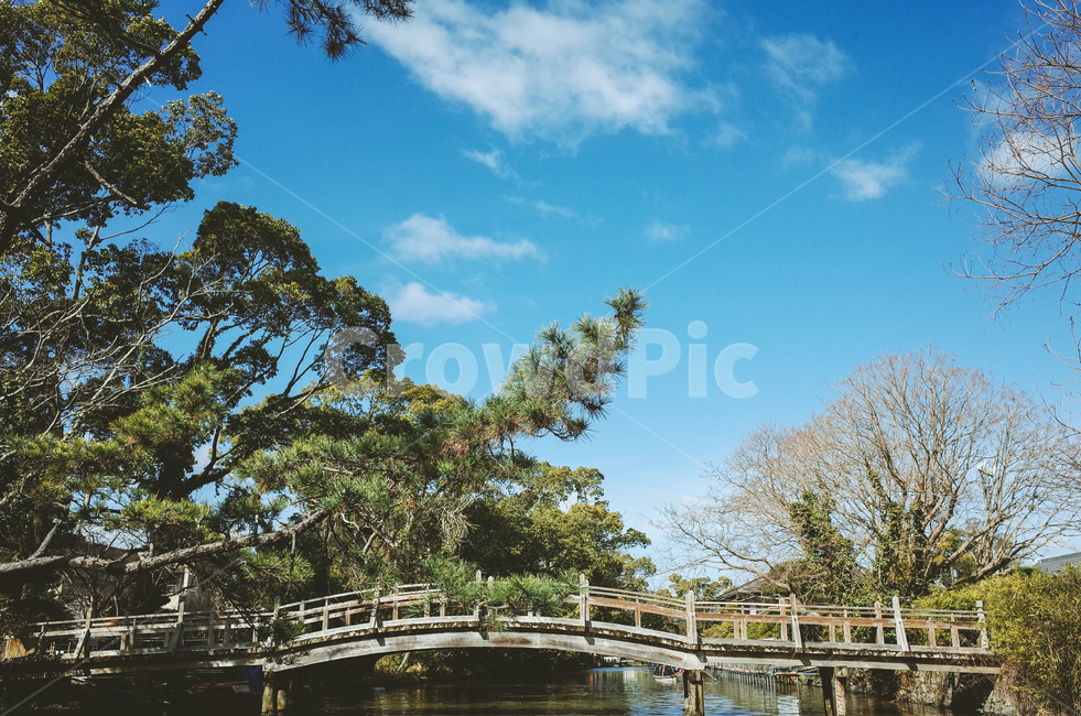 일본,후쿠오카,야나가와뱃놀이,나무,다리,하늘,자연,풍경,휴식,봄,3월,asia,blossom,blue,fukuoka,garden,japan,japanese,landscape,march,nature,outdoor,park,season,sky,spring,tree,trees,yanagawa,해외,외국,세계,foreign,oversea,world