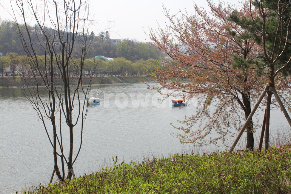 자연,식물,풍경,경치,호수,물,자연,풍경,nature,landscape