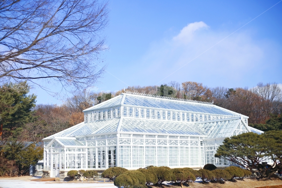 창경궁,고궁,창경궁대온실,대온실,온실,인테리어,정원,자연,감성사진,집,랜드마크,landmark,tourist attraction,한국랜드마크,한국관광지,한국명소,korea landmark,korea tourist attraction,건축물,건물외관,exterior,building,structure,architecture,construction