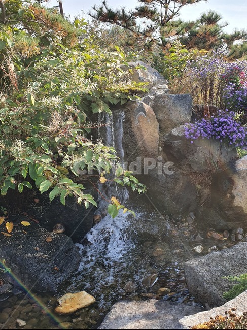 폭포,꽃,나무,자연,옥외,outdoors,자갈,gravel,물,water,tree
