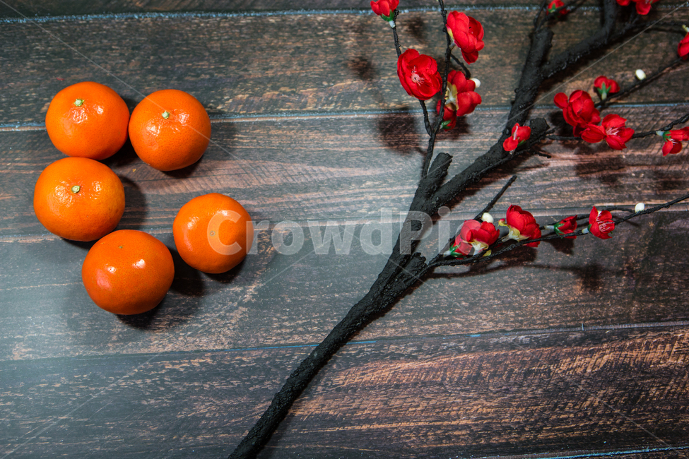 설날,명절,설,복,매화,식물,자연,plants,nature,꽃,flower,과일,열매,fruit