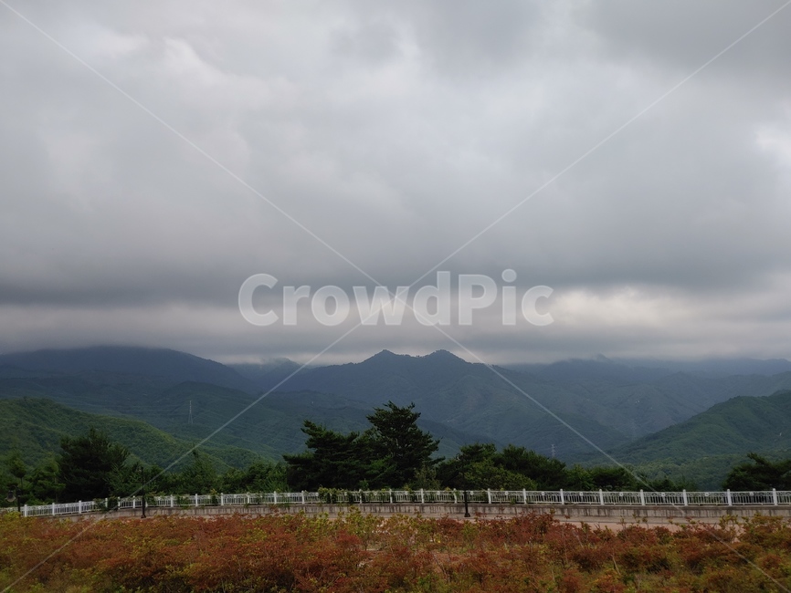 날씨,흐림,나무,숲,구름,cloud,축축,nature,자연,자연,풍경,nature,landscape,outdoors,옥외